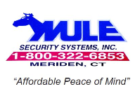 Mule Security Systems Inc