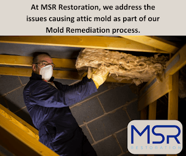 MSR Restoration