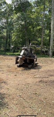 Stump grinding