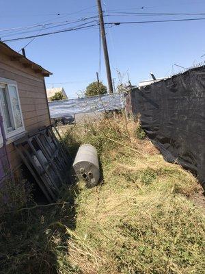 Weeds, old builders junk