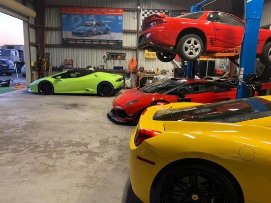 Enzo Auto Service. Sports Cars Expert!