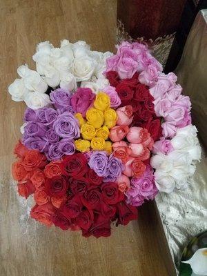 Beautiful color roses