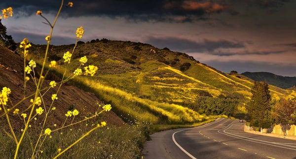 The stunning hills near our office in beautiful Agoura Hills, CA