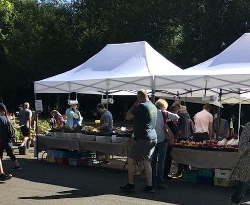 Farmstand at Issaquah Farmers Market