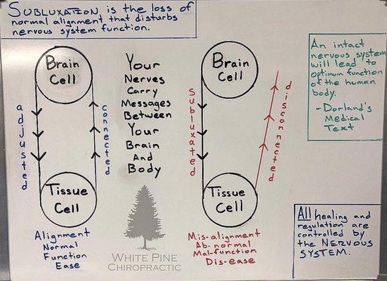 Chiropractic is about getting your brain and body to communicate properly.