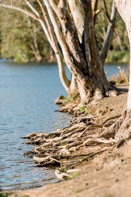 Vasona Lake County Park | Los Gatos