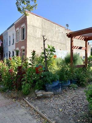 Marion Street Intergenerational Garden