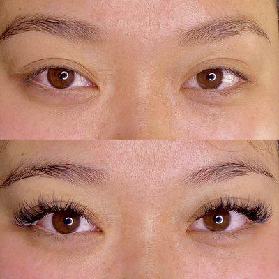 Hybrid Lashes