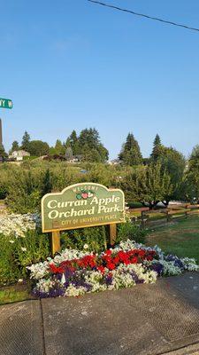 Curran Apple Orchard