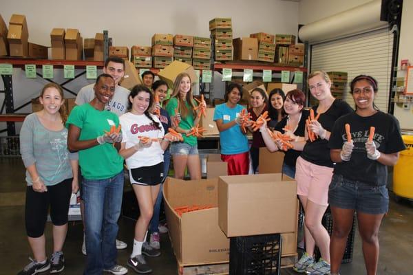 Volunteers from St. Mary's College boxing carrots for the Farm 2 Kids Program