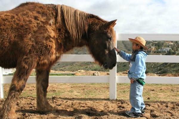 Rocking Horse Ranch