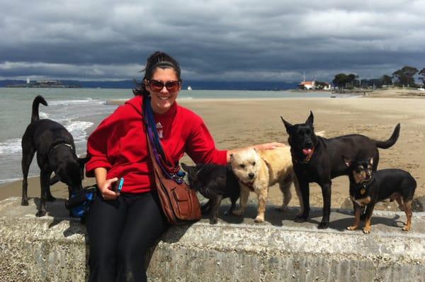 Me and the pack at the beach!