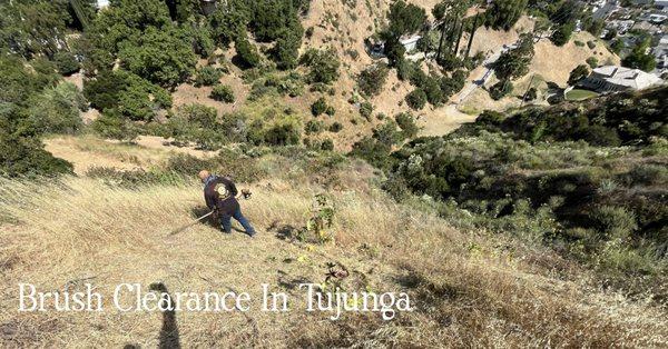 - Brush Clearance Job In Tujunga -