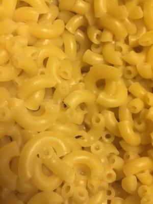 Bugs inside pasta