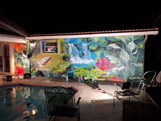 Awesome mural by my pool