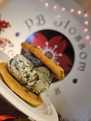 Mint ice cream with chocolate chip cookies