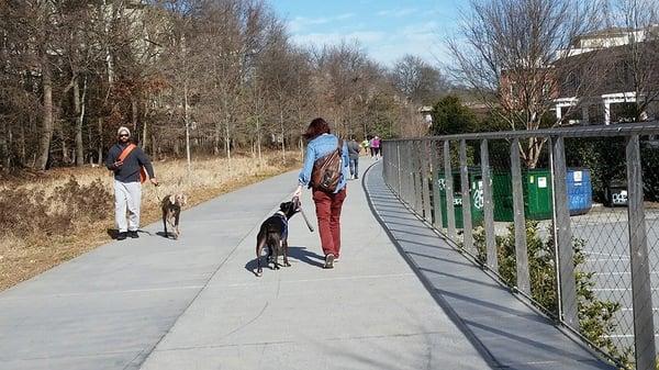 Harlowe and Emily tackle the beltline on a busy Saturday