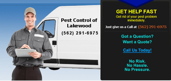 Pest Control of Lakewood