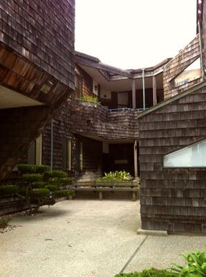 The courtyard at Martin Chiropractic