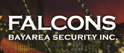 Falcons Bay Area Security