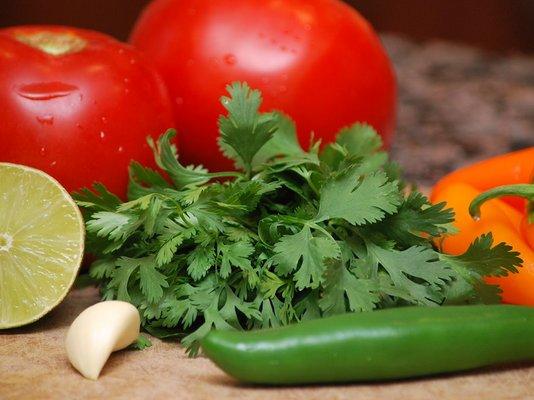 Delicious Medicinals: Probiotic salsa ingredients