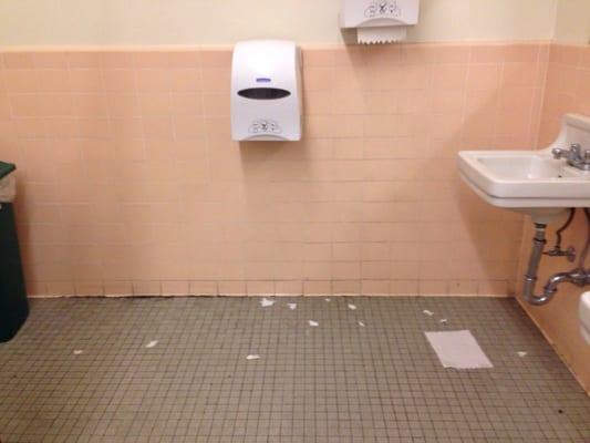 The injustice of a dirty bathroom that has been Mistreated and abandoned by the state.. Change never came Obama,, the bathroom still stinks.