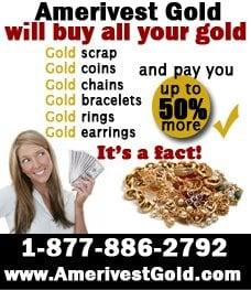 Amerivest Gold Corp