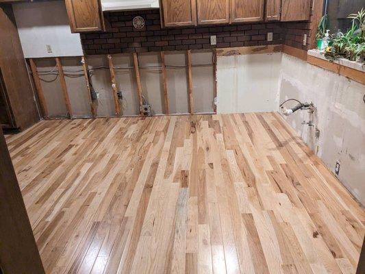 Solid hardwood naildown / kitchen repair