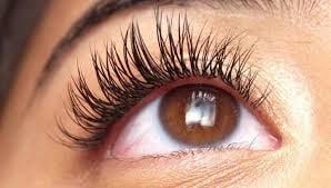 Eyelash Extensions ($200)