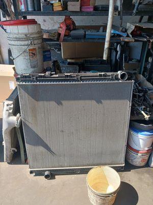 BIG RIG Radiator