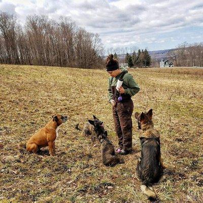 Dog Lodge Trainer Donnalyn Moran of HomeFront Canine