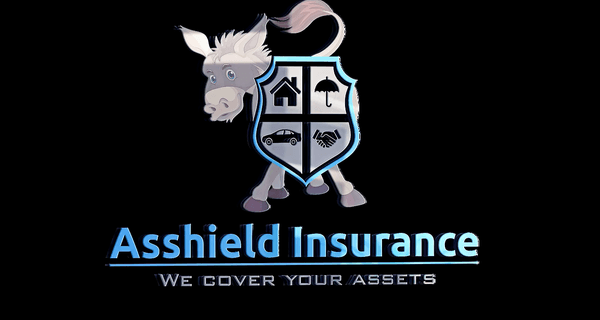 Asshield Insurance