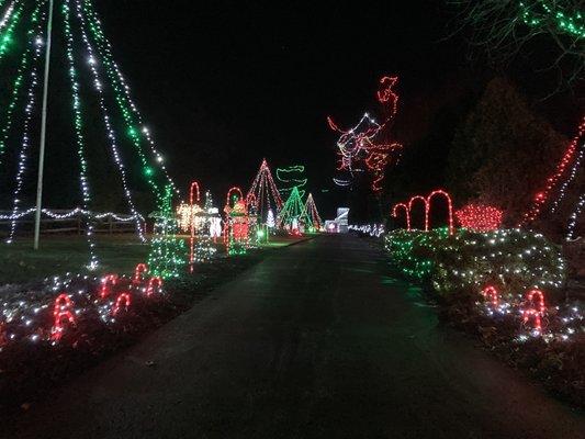 Middletown Township -- holiday lights on Dutton Mill Rd, near S Old Middletown Rd