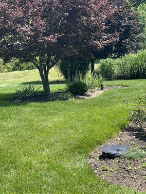 Green Grass Lawncare, Inc