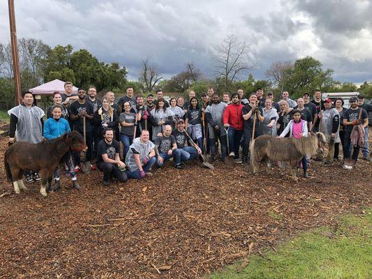 Make Your Mark - entire team coming together, volunteering at Hearts Landing Ranch.