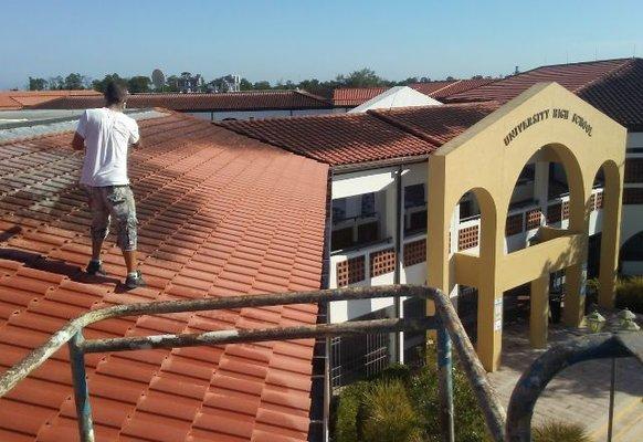 Coyote Roof Cleaning