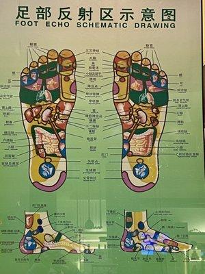 Foot echo schematic drawing