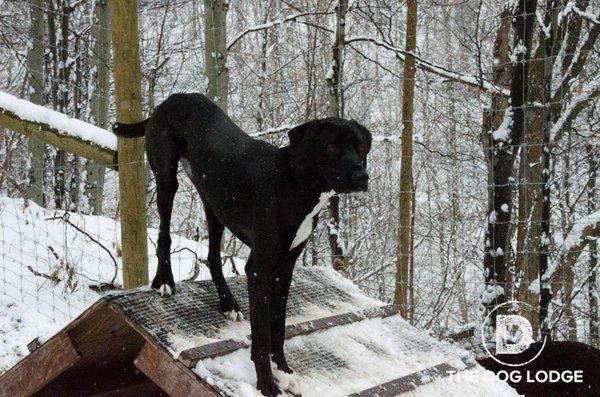 Jackson on the A-Frame