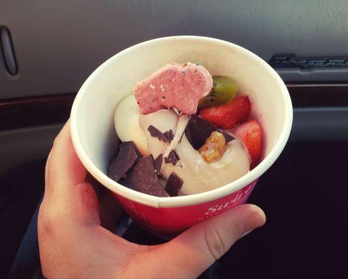 Cake batter and cookies and cream swirl with fruit, dark chocolate, walnuts, and an animal cracker on top!