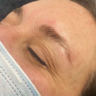 brow lamination