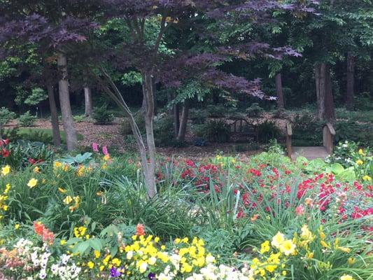 Our patients are always welcome to enjoy our backyard garden.