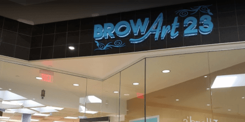 Brow Art 23