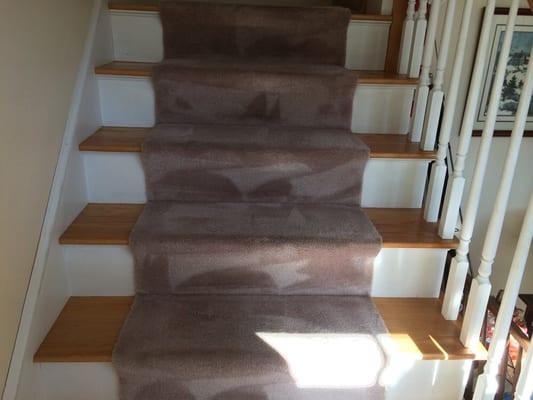 Carpet cleaning on a staircase