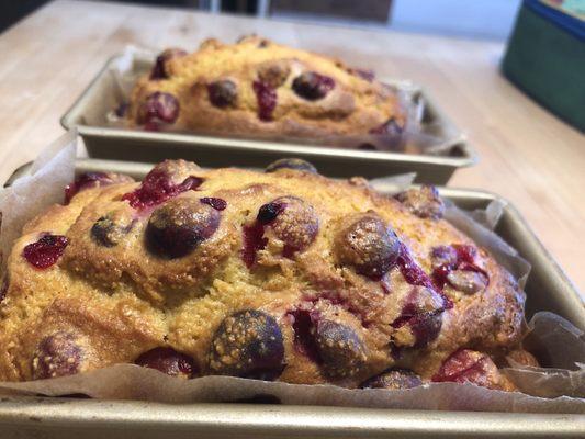 Cranberry vanilla cornbread--made with Bklyn Fitness Whey Protein