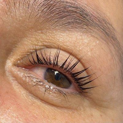 Lash Lift + Tint