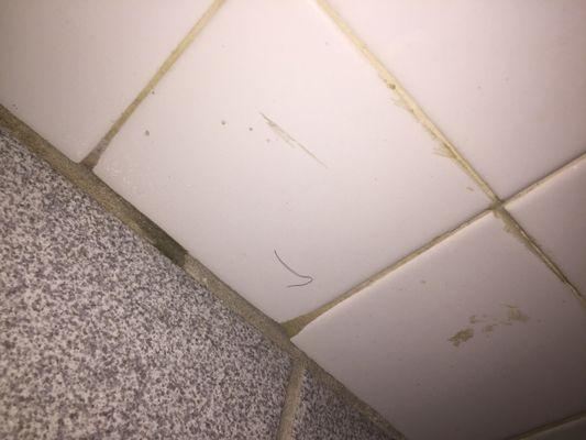 Unknown Hair stuck to the bathroom wall.