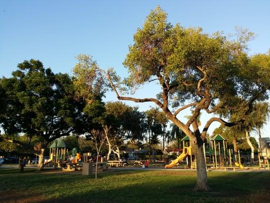 There are two playgrounds at Byerrum Park.