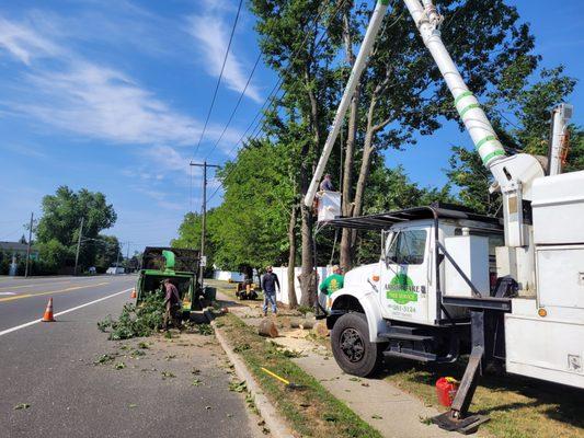 Arbor Care Tree Service