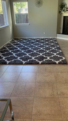 Living room area rug