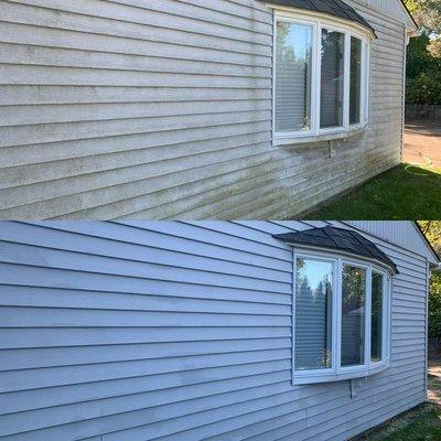 Vinyl siding softwashing